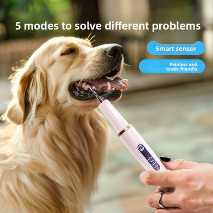 Ultrasonic Dental Scaler