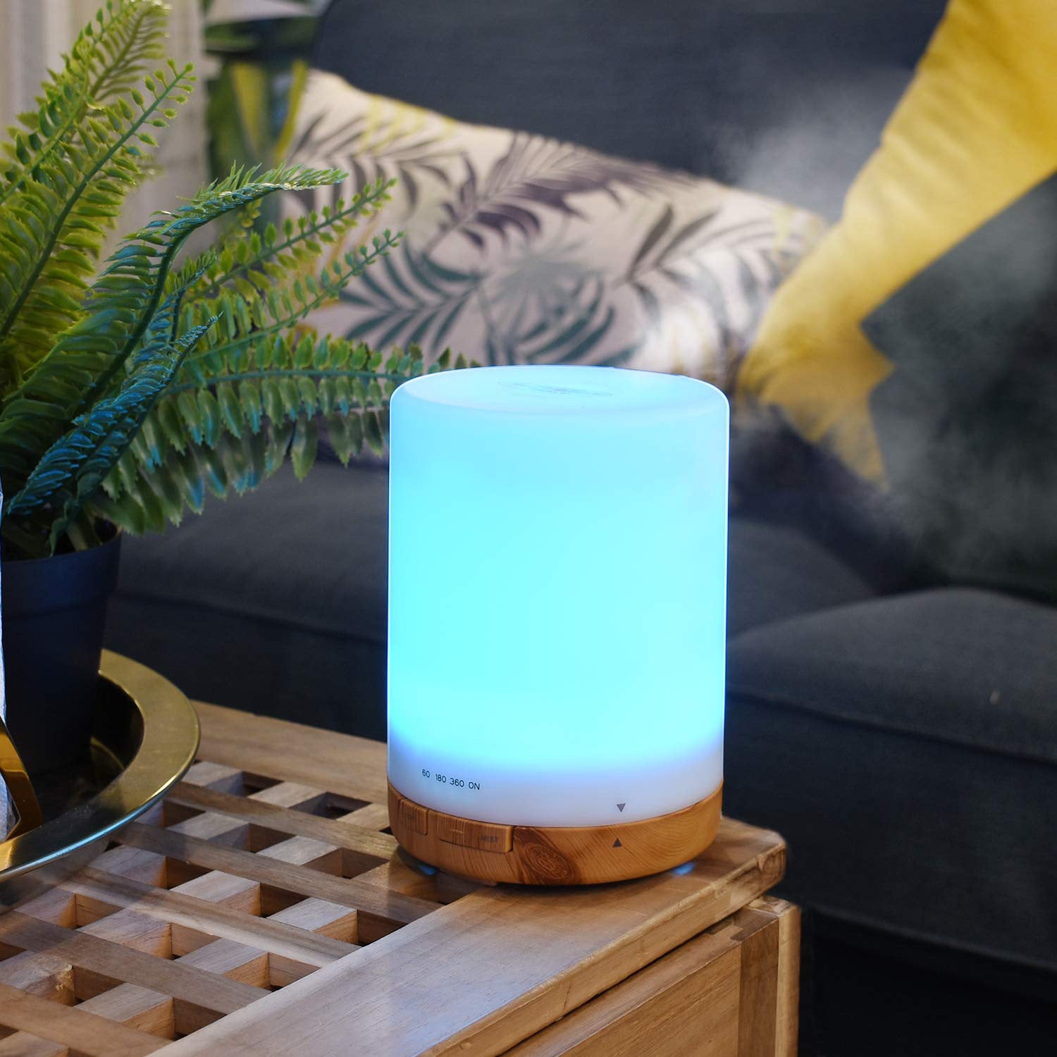 Ultrasonic Essential Oil Diffuser