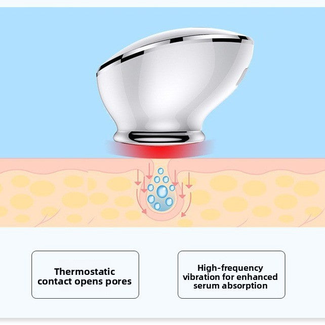 Ultrasonic Facial Cleansing and Serum Introduction Device