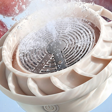 Ultrasonic Food Purifier