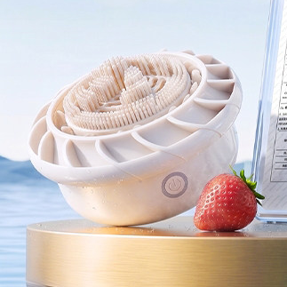 Ultrasonic Food Purifier
