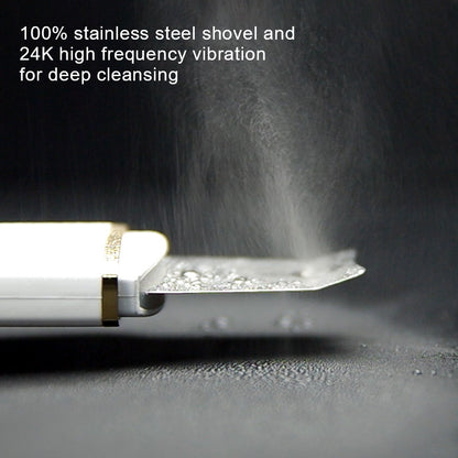 Ultrasonic skin cleansing device