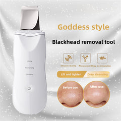 White ultrasonic vibration model