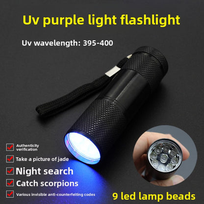 Ultraviolet Flashlight