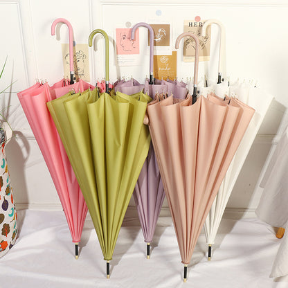 Umbrella Sunshade