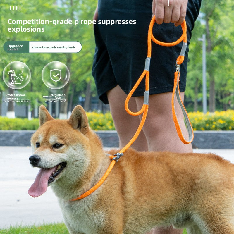 Universal Dog Leash