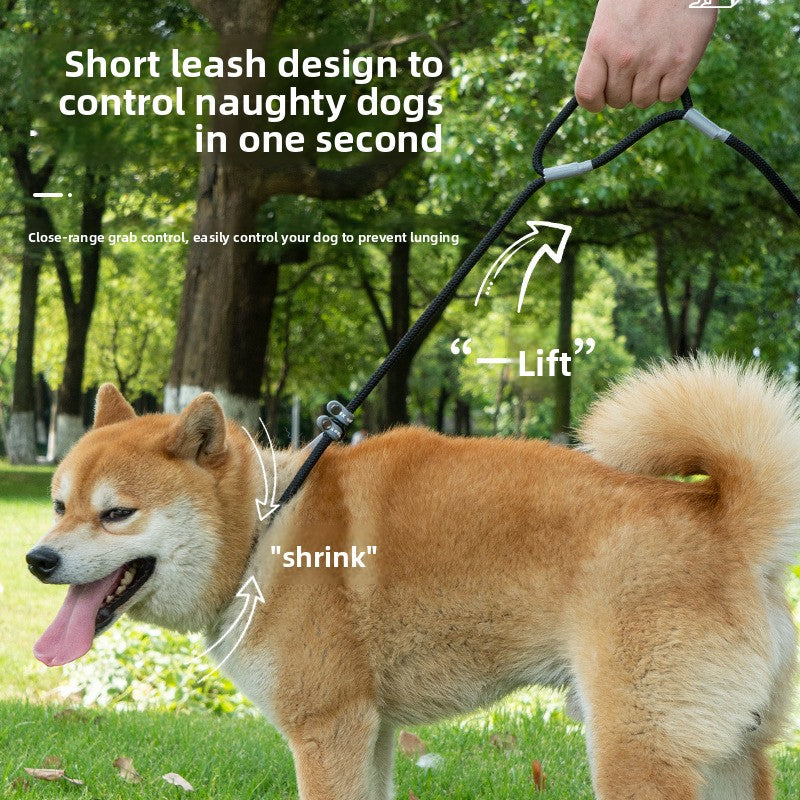 Universal Dog Leash