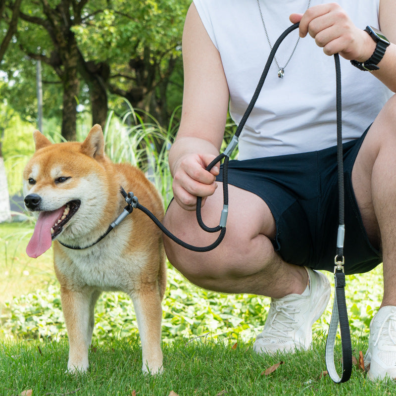 Universal Dog Leash