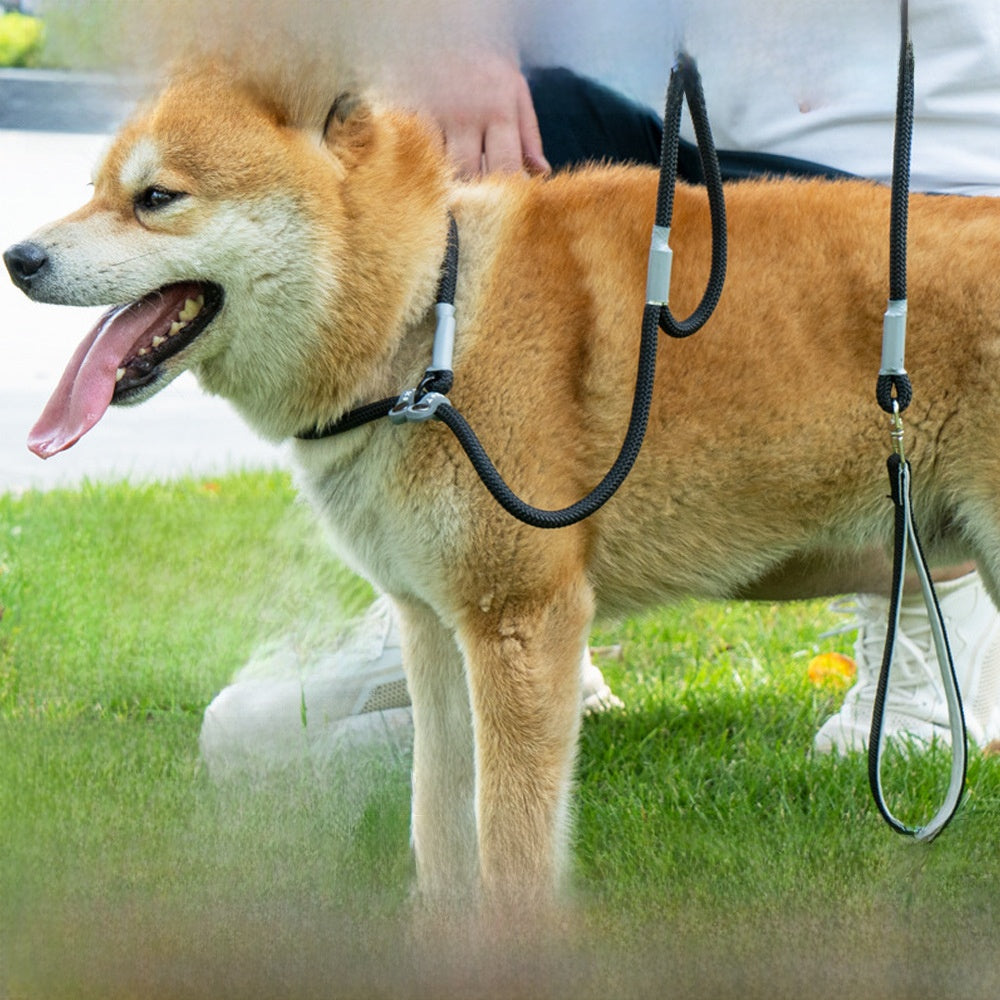 Universal Dog Leash