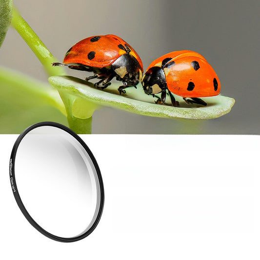 Universal filter adapter ring filter