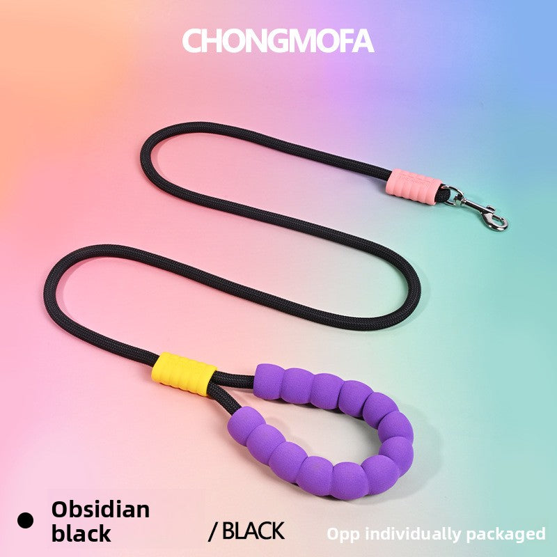 Universal Pet Leash for Dogs and Cats
