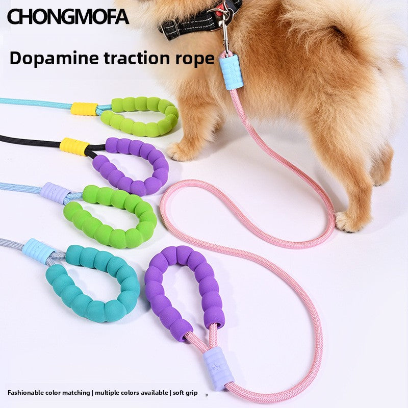 Universal Pet Leash for Dogs and Cats
