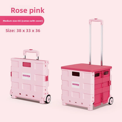 Universal wheel plastic trolley
