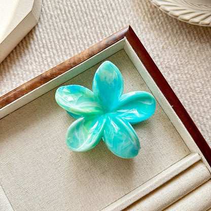 Updo shark clip
