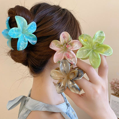 Updo shark clip