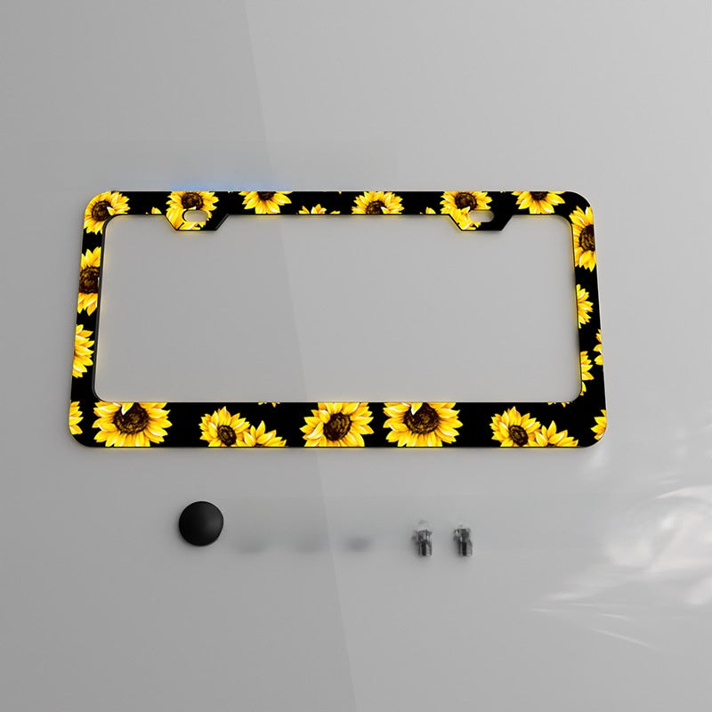 US Standard License Plate Frame with UV Coating