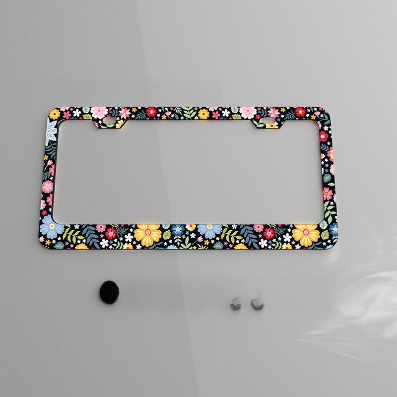 US Standard License Plate Frame with UV Coating