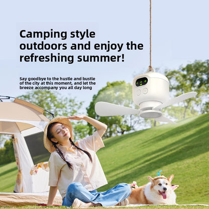 USB ceiling fan