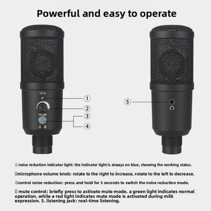 USB condenser microphone suit