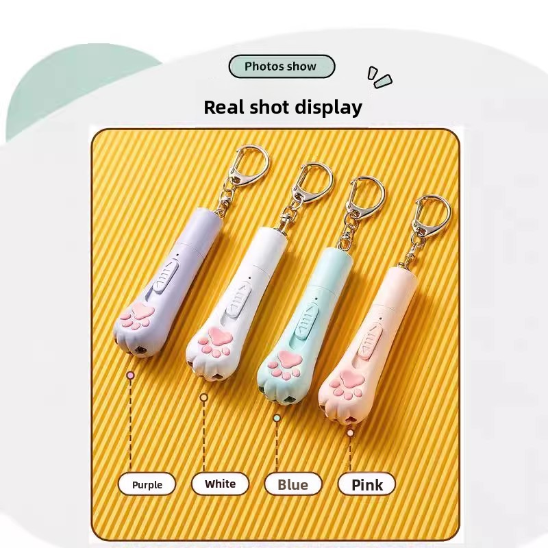 USB Pet Laser Toy Pointer