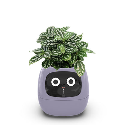 USB rechargeable automatic water-absorbing flowerpot