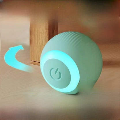 USB rechargeable cat electric cat