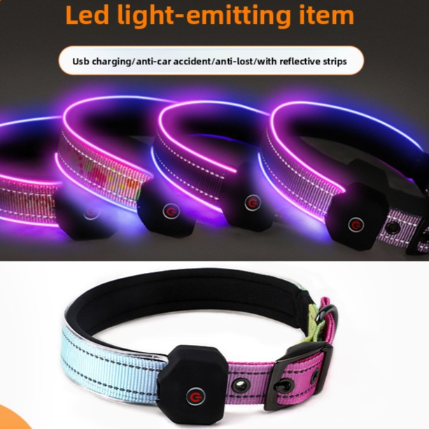 USB Rechargeable LED Illuminated Dog Collar with Reflective Strip