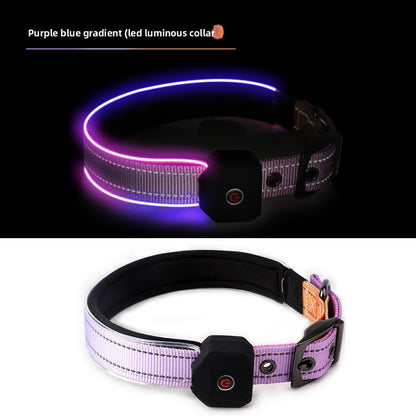 USB Rechargeable LED Illuminated Dog Collar with Reflective Strip