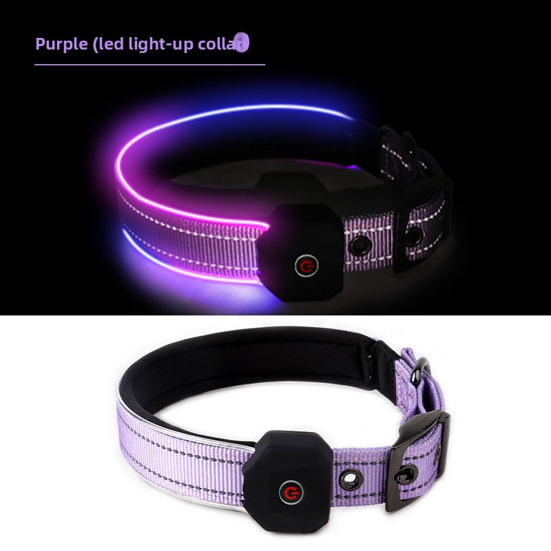 USB Rechargeable LED Illuminated Dog Collar with Reflective Strip