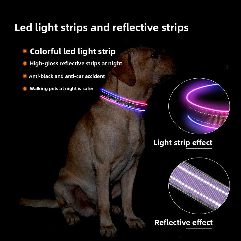 USB Rechargeable LED Illuminated Dog Collar with Reflective Strip