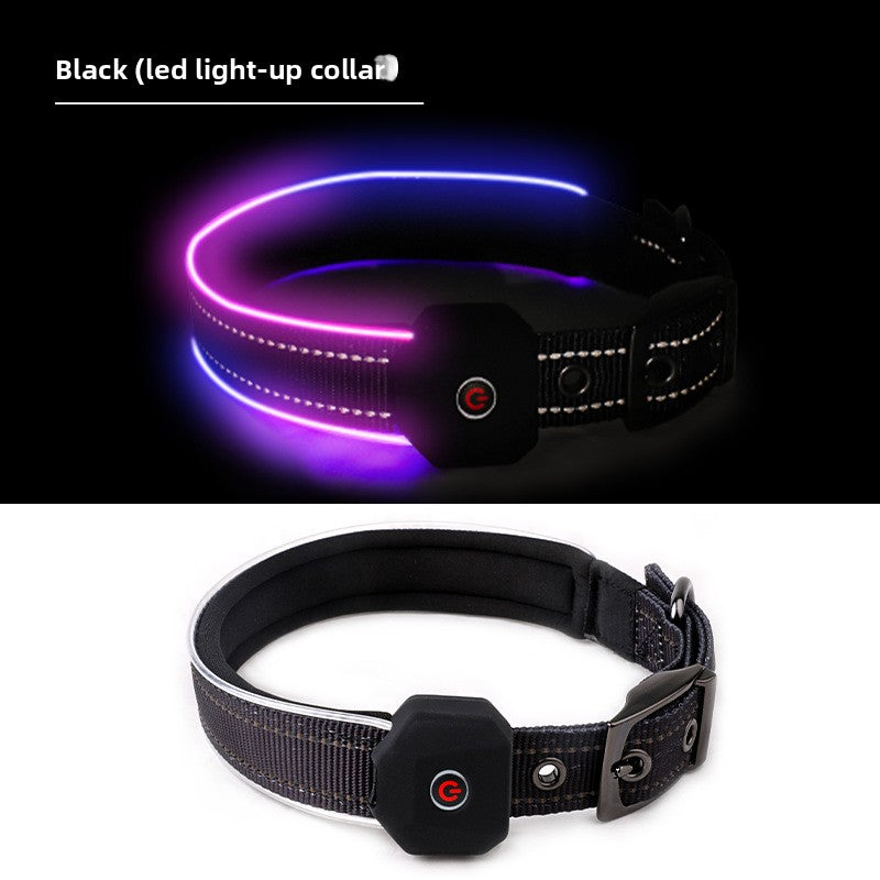 USB Rechargeable LED Illuminated Dog Collar with Reflective Strip