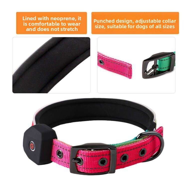 USB Rechargeable LED Illuminated Dog Collar with Reflective Strip