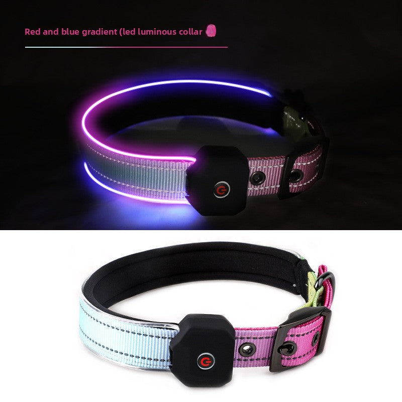 USB Rechargeable LED Illuminated Dog Collar with Reflective Strip