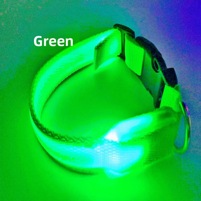 USB Rechargeable LED Pet Safety Collar with Adjustable Sizing