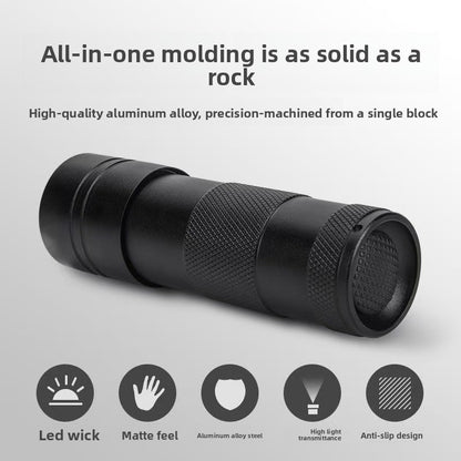 UV flashlight