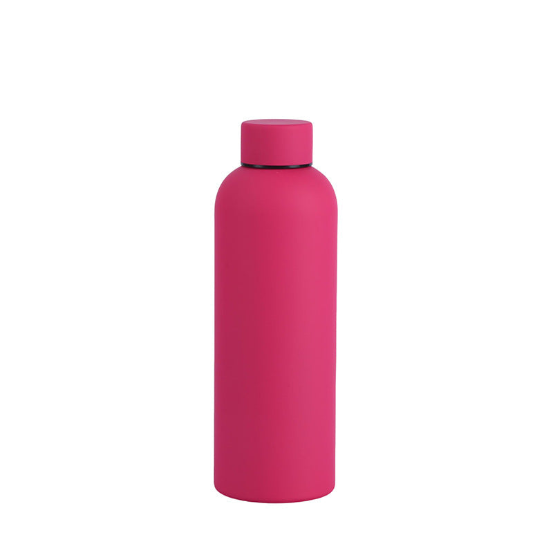 Vacuum Insulated Bottle