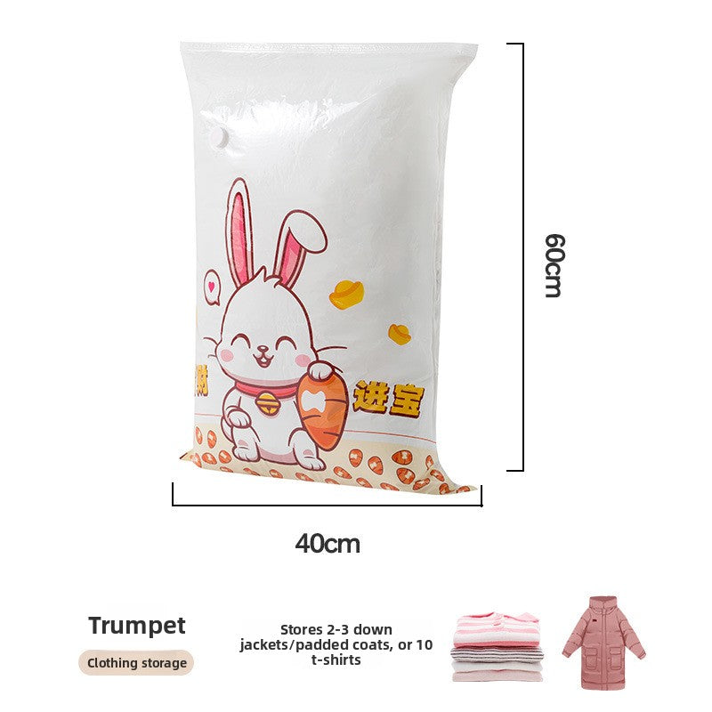 Vacuum Storage Bags
