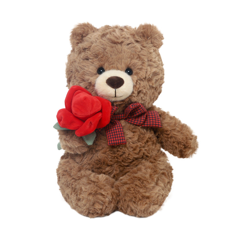 Valentine Bear Plush Toy with Gift Packaging