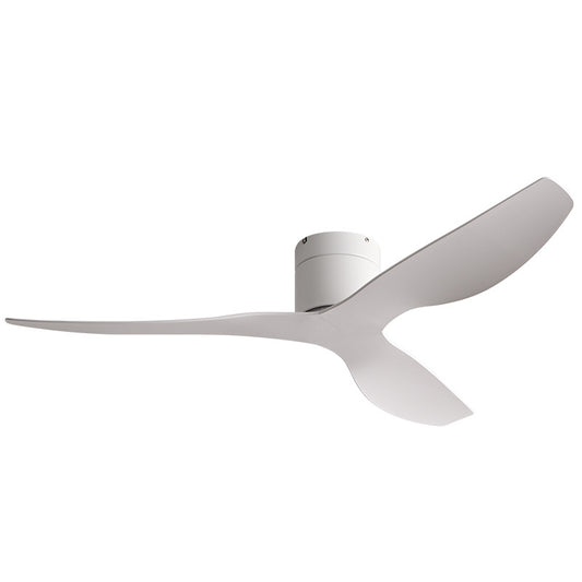 Variable Frequency Ceiling Fan with Light