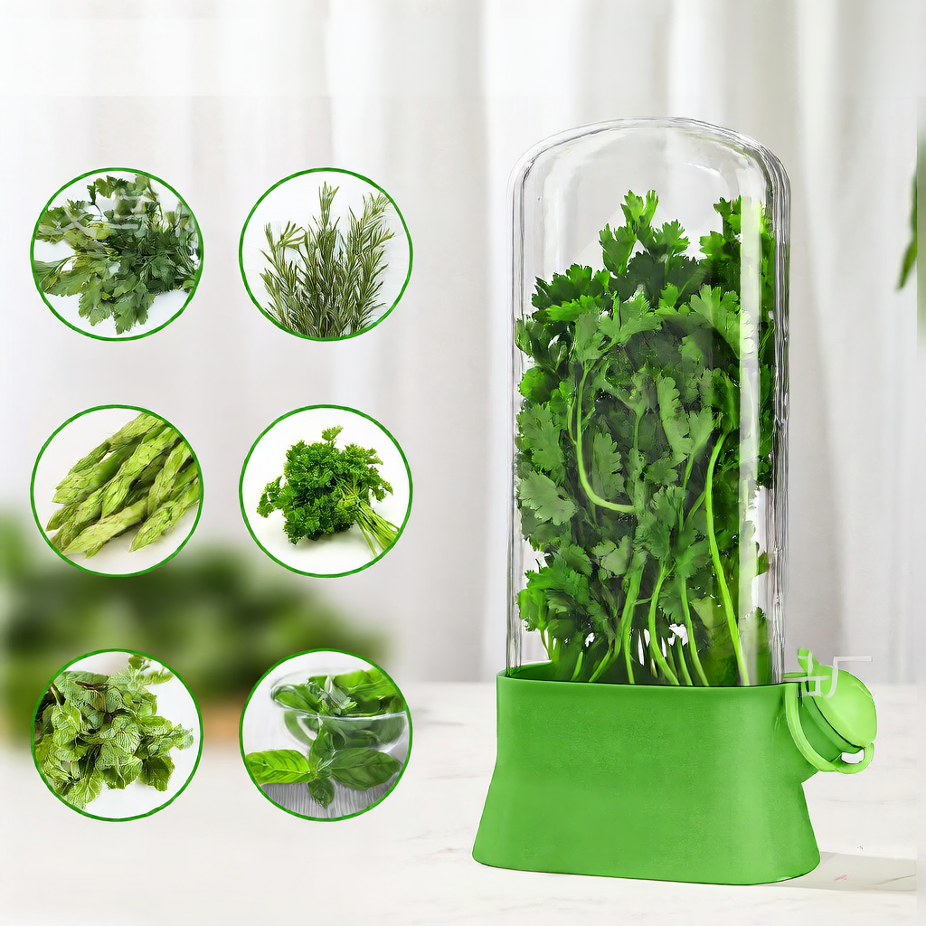 Vegetable Herb Preservation Storage Container