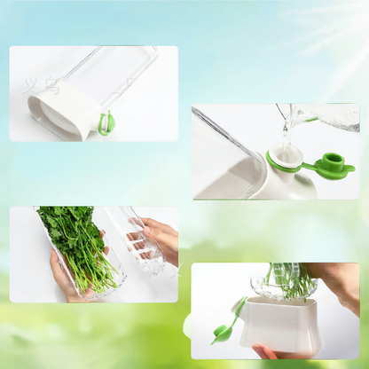 Vegetable Herb Preservation Storage Container