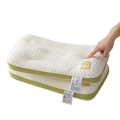 Velvet pillow insert with pillowcase
