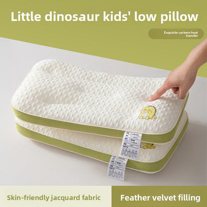 Velvet pillow insert with pillowcase