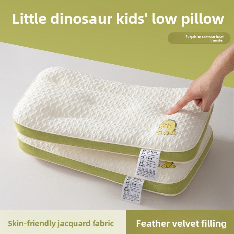 Velvet pillow insert with pillowcase