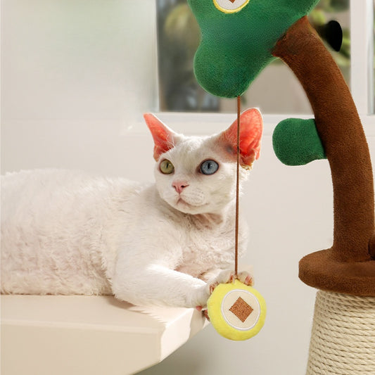 Vertical cat toy