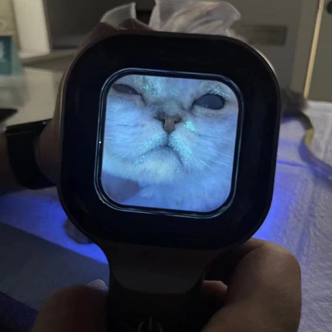Veterinary Wood Lamp