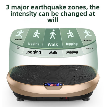 Vibration Exercise Machine
