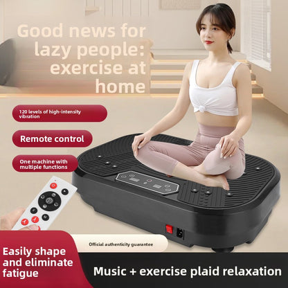 Vibration Fitness Machine