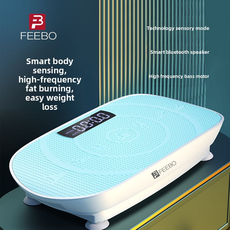 Vibration Fitness Machine