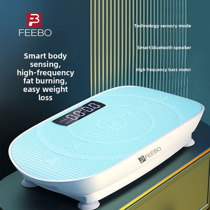 Vibration Fitness Machine